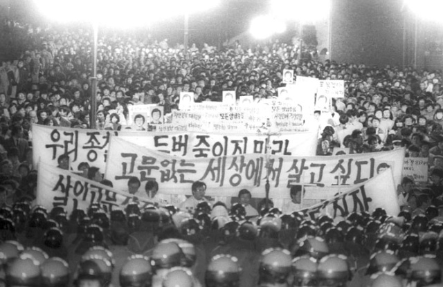 最感人一刻：韓國 6 月抗爭 32 周年紀念